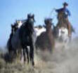 Landlord Insurance Texas